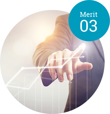 Merit02